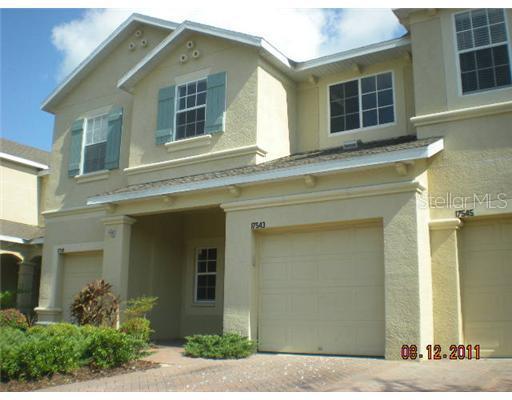17543 Stinchar Dr., Land O Lakes, FL 34638