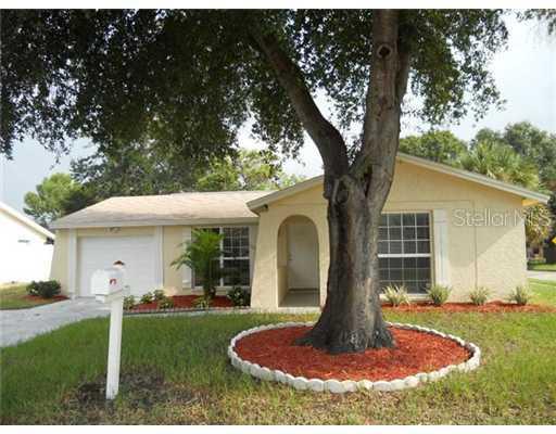 10111 Lazy Creek Ct., Tampa, FL 33615