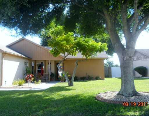 11413 Smokethorn Dr., Riverview, FL 33579