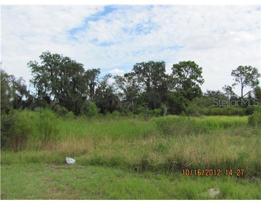 14802 Grady Sweat Ln., Wimauma, FL 33598
