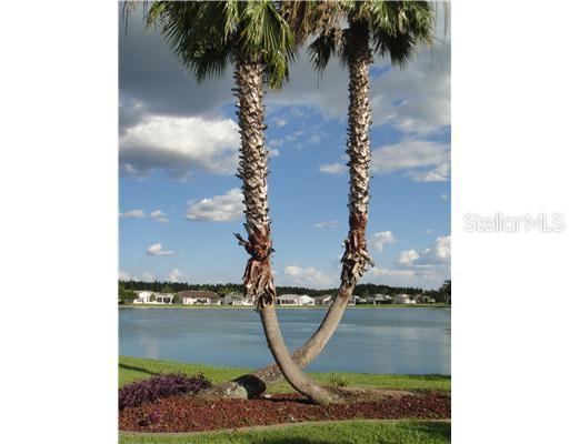 1010 Ashbourne Cir., Trinity, FL 34655