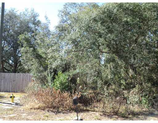 Candlewick Ave., Spring Hill, FL 34606