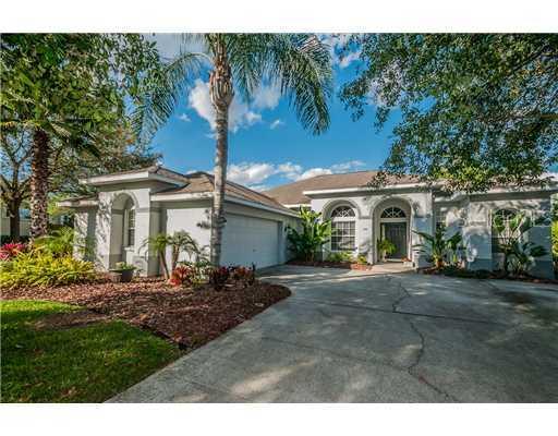1261 Blackrush Dr., Tarpon Springs, FL 34689