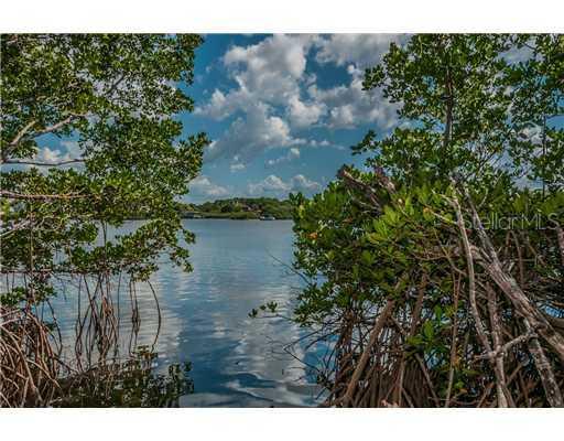 Osprey Ct., Palm Harbor, FL 34683