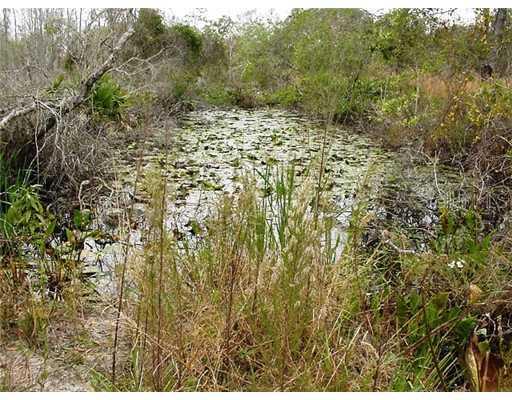 Grovewood Blvd., Land O Lakes, FL 34639