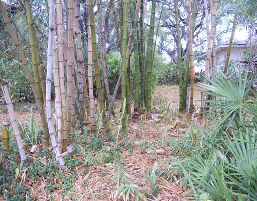 701 89th Ave., St Petersburg, FL 33702