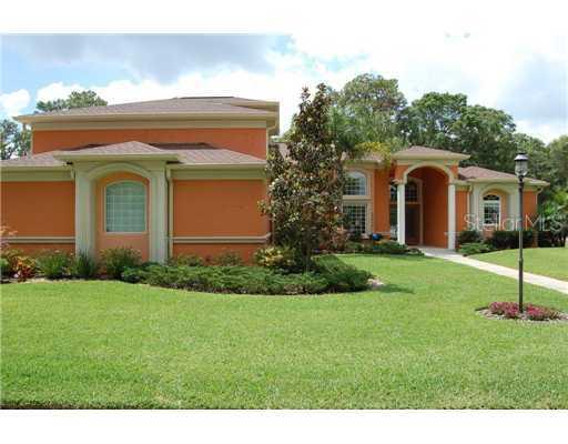20046 Deer Haven Dr., Lutz, FL 33558
