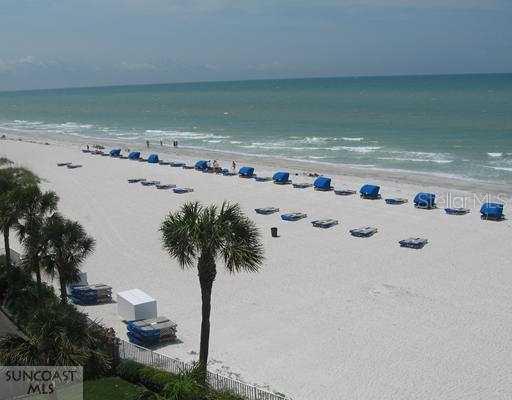 20040 Gulf Blvd. #504, Indian Shores, FL 33785