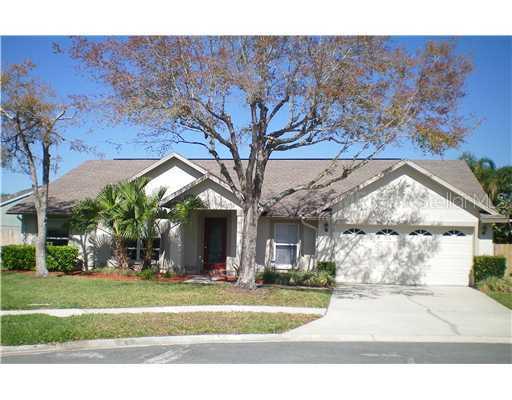 3915 Little Egret Ct., Lutz, FL 33558