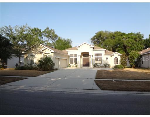 1007 Facet View Way, Valrico, FL 33594