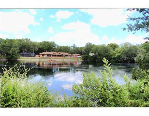 200 Bear Ridge Ct., Safety Harbor, FL 34695