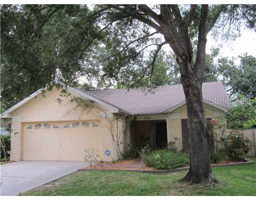 5055 Cypress Trace Dr., Tampa, FL 33624