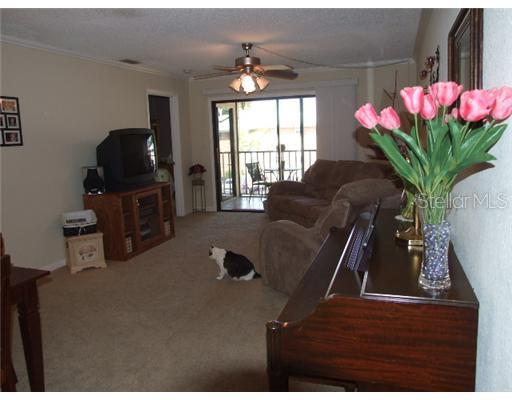 10177 Sailwinds Blvd. #203, Largo, FL 33773