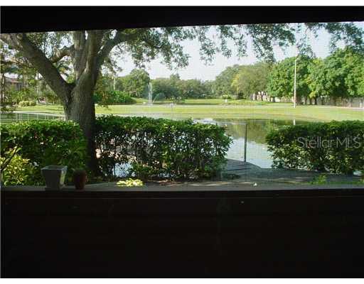 10263 Gandy Blvd. #2407, St Petersburg, FL 33702