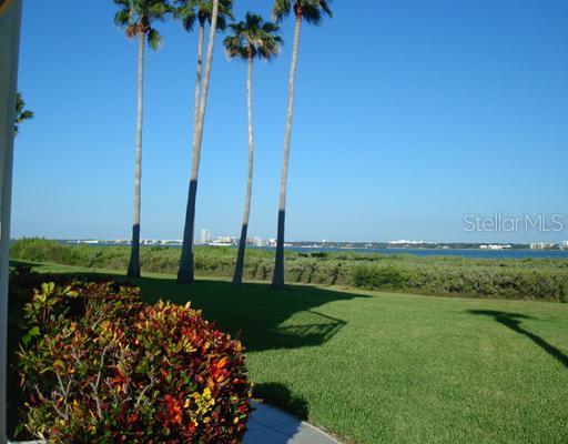 1451 Gulf Blvd. #116, Clearwater Beach, FL 33767