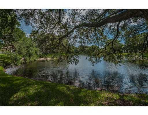 545 Westlake Blvd. #61, Palm Harbor, FL 34683