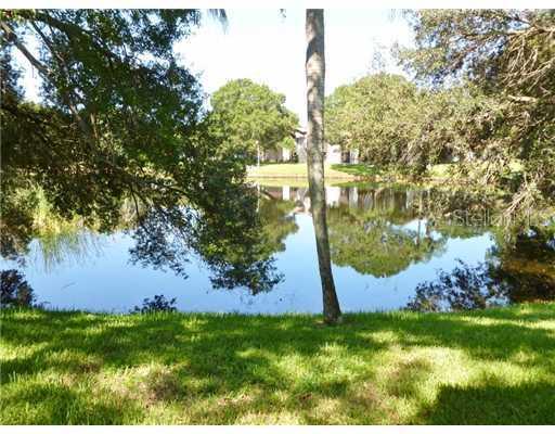 545 Westlake Blvd. #62, Palm Harbor, FL 34683