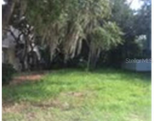 Palm Ave., Palm Harbor, FL 34683