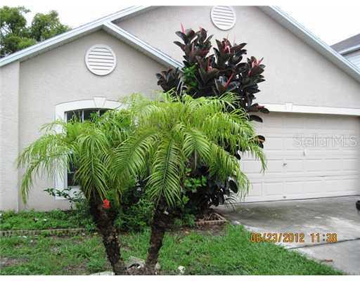 11531 Ivy Flower Loop, Riverview, FL 33578