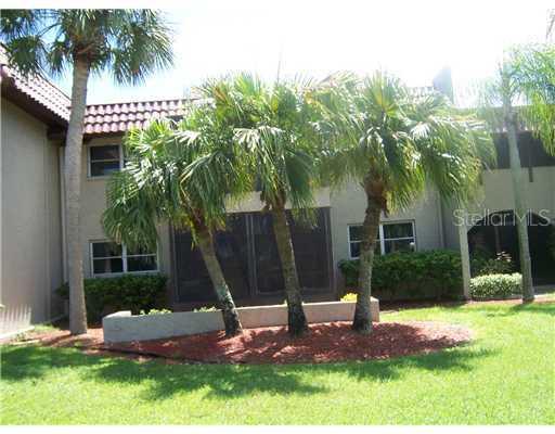 1003 S Bayshore Blvd. #104, Safety Harbor, FL 34695