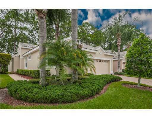 1118 Hominy Hill Dr., Trinity, FL 34655