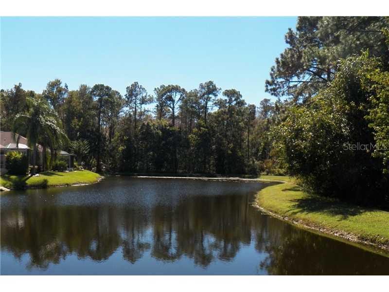 7828 Craighurst Loop, Trinity, FL 34655