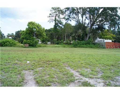 Umbrella Tree Dr., Edgewater, FL 32141