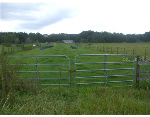 Pless Rd., Plant City, FL 33565