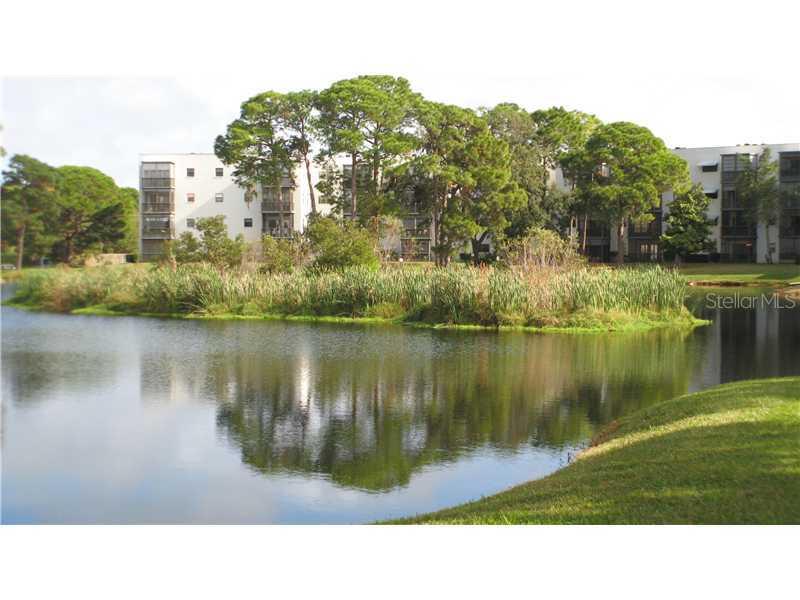 6188 80th St. #307, St Petersburg, FL 33709