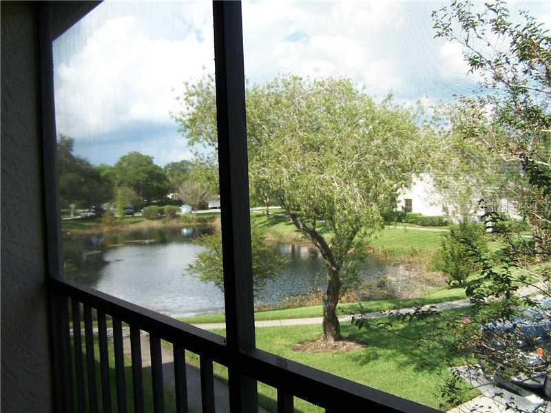 3301 Crystal Ct. #K, Palm Harbor, FL 34685