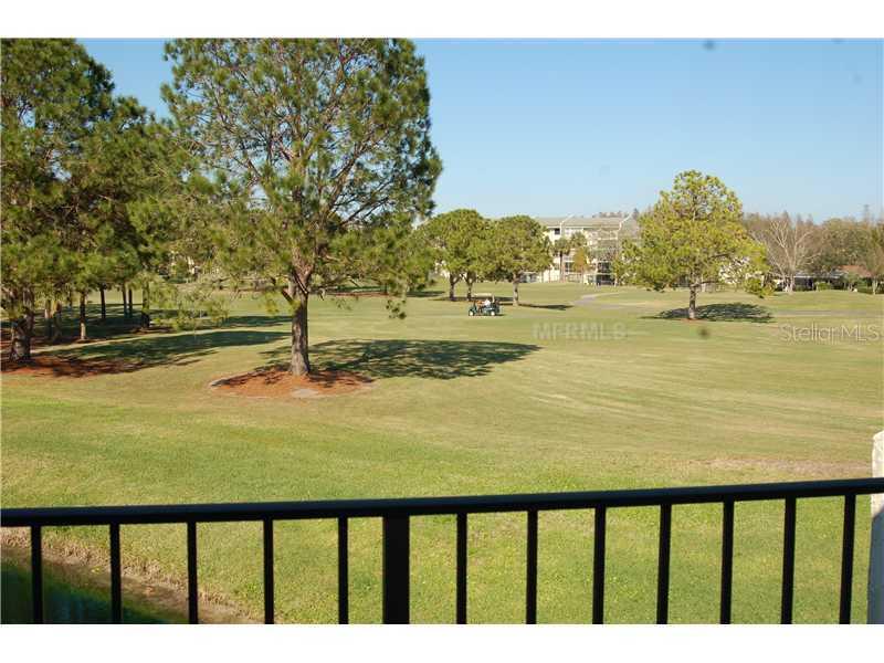 13516 Palmwood Ln., Tampa, FL 33618