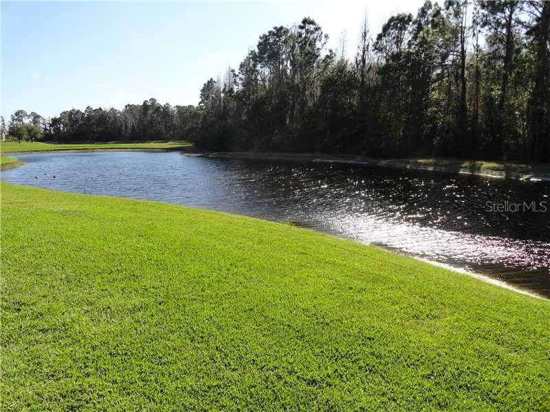 1605 Westerham Loop, Trinity, FL 34655