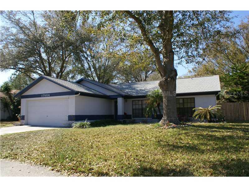 17804 Fallowfield Dr., Lutz, FL 33549