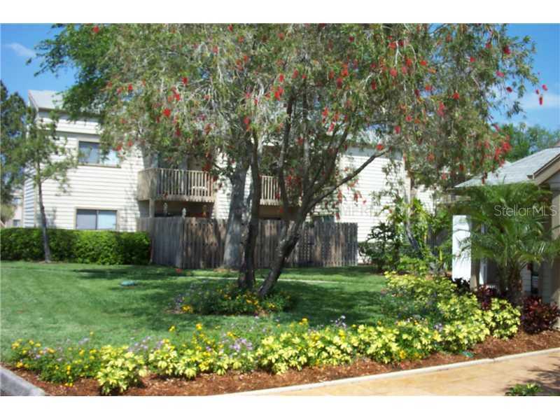 7298 Ulmerton Rd. #203, Largo, FL 33771