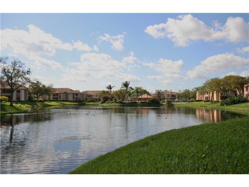 10265 Gandy Blvd. #1316, St Petersburg, FL 33702