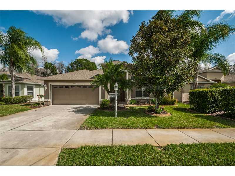 1135 Dustan Pl., Trinity, FL 34655