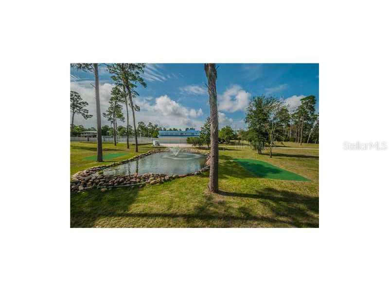 2800 Leprechaun Ln., Palm Harbor, FL 34683