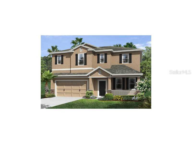 1147 Halapa Way, Trinity, FL 34655