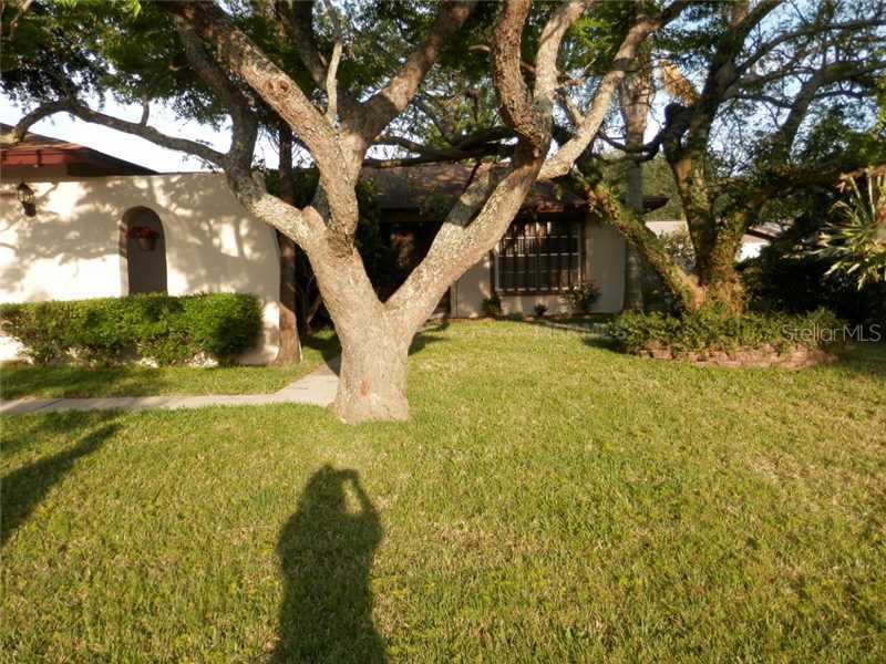 2407 Moore Haven Dr., Clearwater, FL 33763