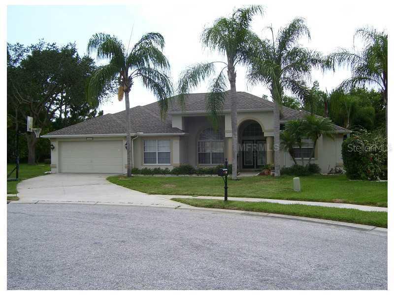 8139 Brumby Ct., Trinity, FL 34655