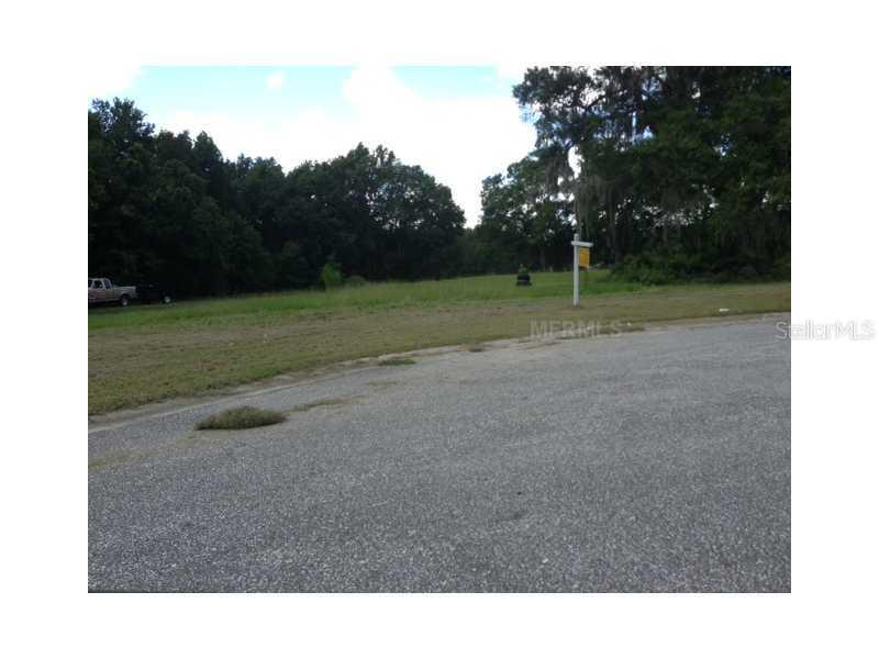 2503 Mexican Sun Dr., Lutz, FL 33559