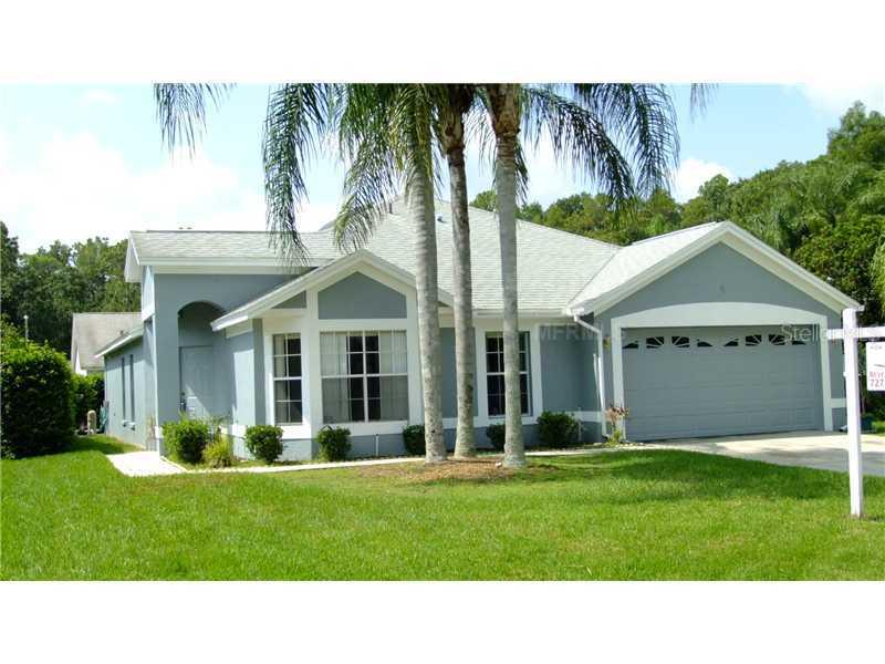 3326 Greymoss Ct., Tarpon Springs, FL 34688