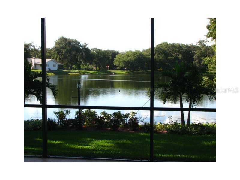 2931 Valencia Ln., Palm Harbor, FL 34684