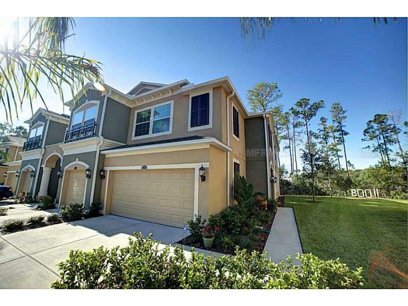 12558 Silverdale St., Tampa, FL 33626