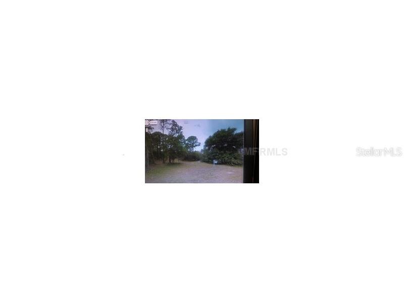 Chateau Ct., Palm Harbor, FL 34683