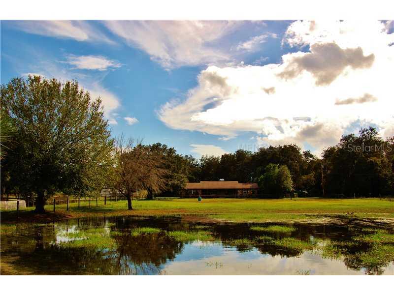 12536 Tyler Run Ave., Odessa, FL 33556