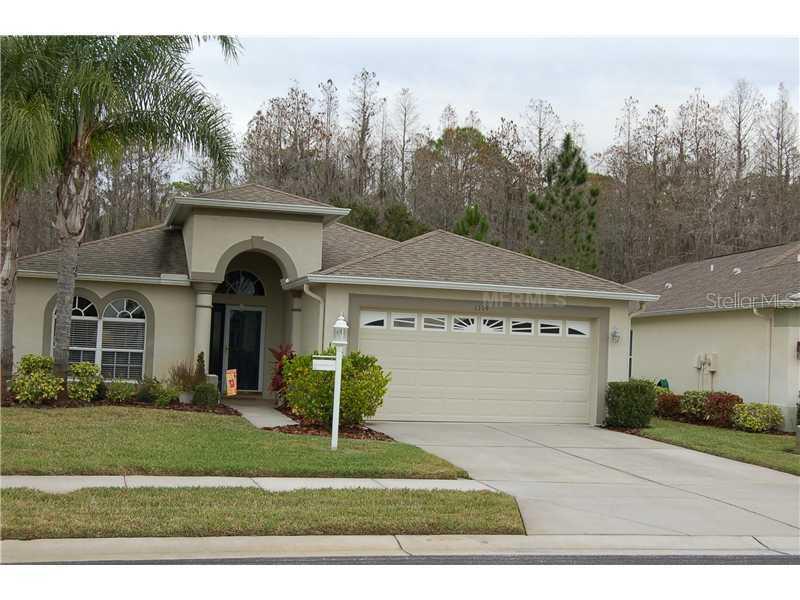 1119 Dustan Pl., Trinity, FL 34655