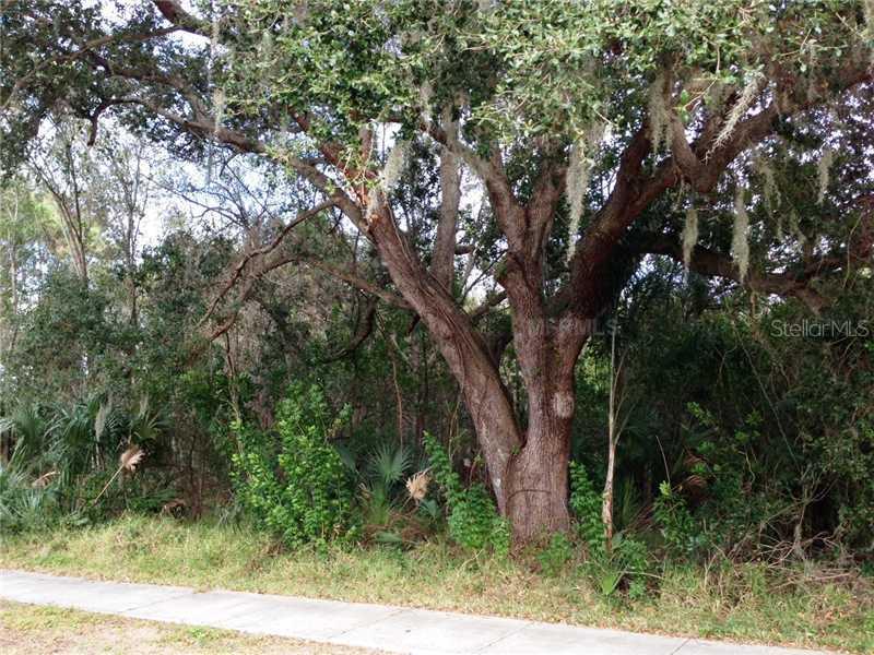 95th St., Largo, FL 33773