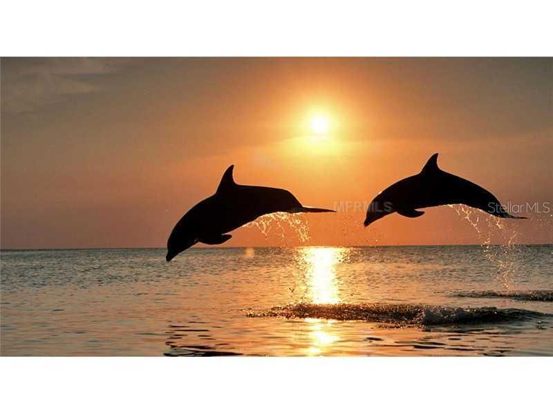 5144 Salmon Dr. #5144A, St Petersburg, FL 33705