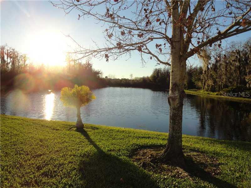 1505 Morning Rose Pl., Trinity, FL 34655